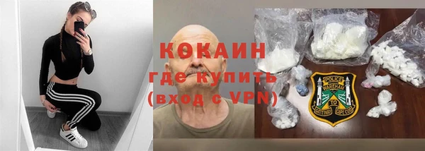стаф Грязовец