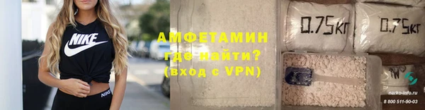 СК Пересвет