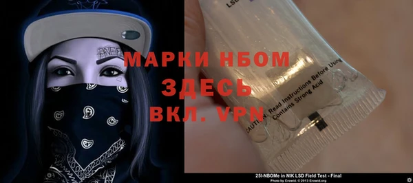 СК Пересвет