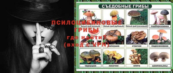 дмт Грязи