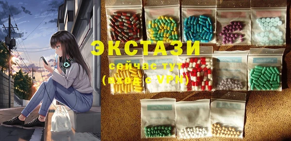 СК Пересвет