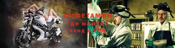 бошки Губаха