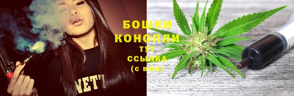 бошки Губаха