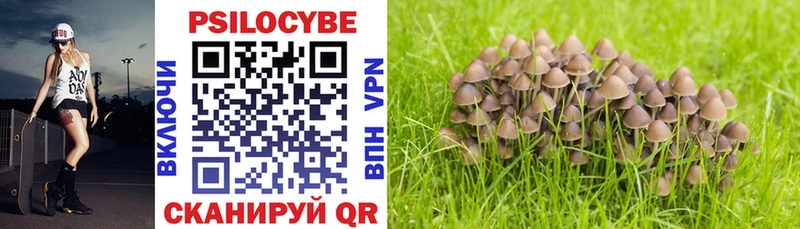 Псилоцибиновые грибы Psilocybe  гидра онион  Кудрово 