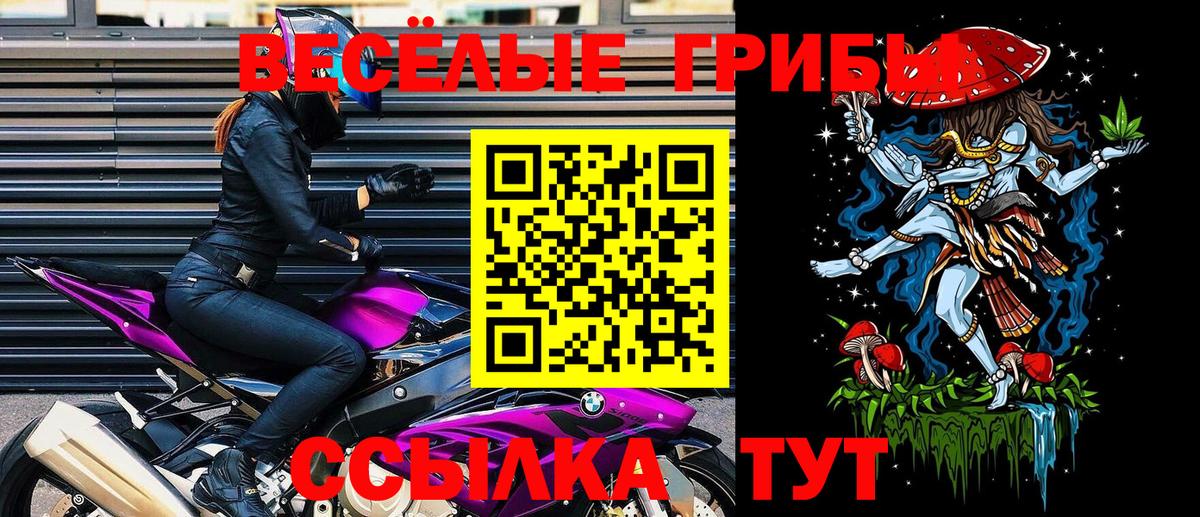 Кудрово  Вход с VPN  Меф МЯУ МЯУ кристаллы  Гашиш  Экстази  Конопля  MDMA  Cocaine  НБОМе 