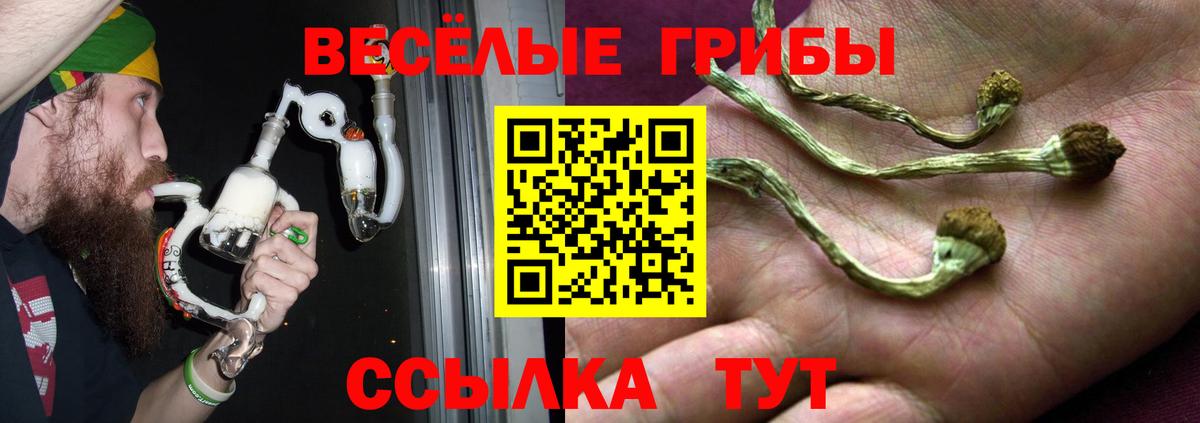 Кудрово  Галлюциногенные грибы мицелий  Вход с VPN 