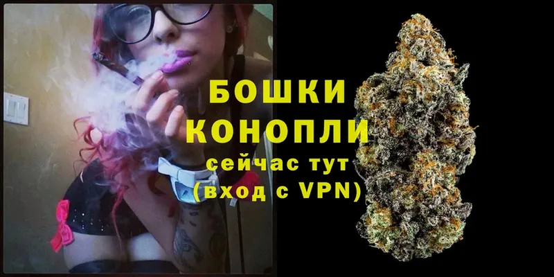 купить закладку  Кудрово  blacksprut вход  Шишки марихуана White Widow 