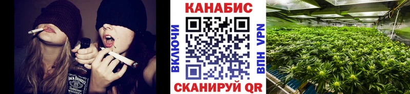 Каннабис OG Kush Кудрово